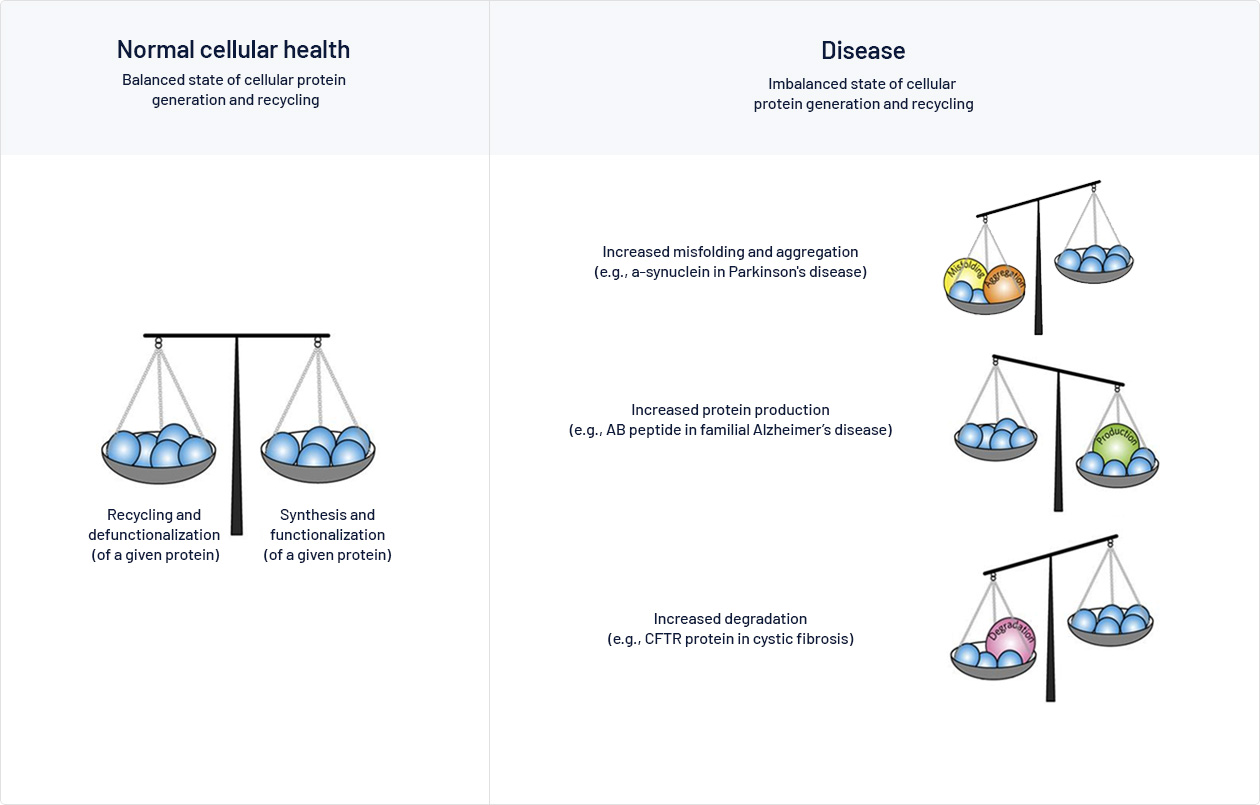 Emerging therapeutic
                            target : cellular organelle & homeostasis