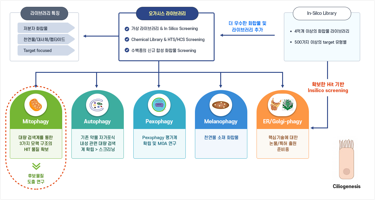 Pipeline Summary _ Current status
